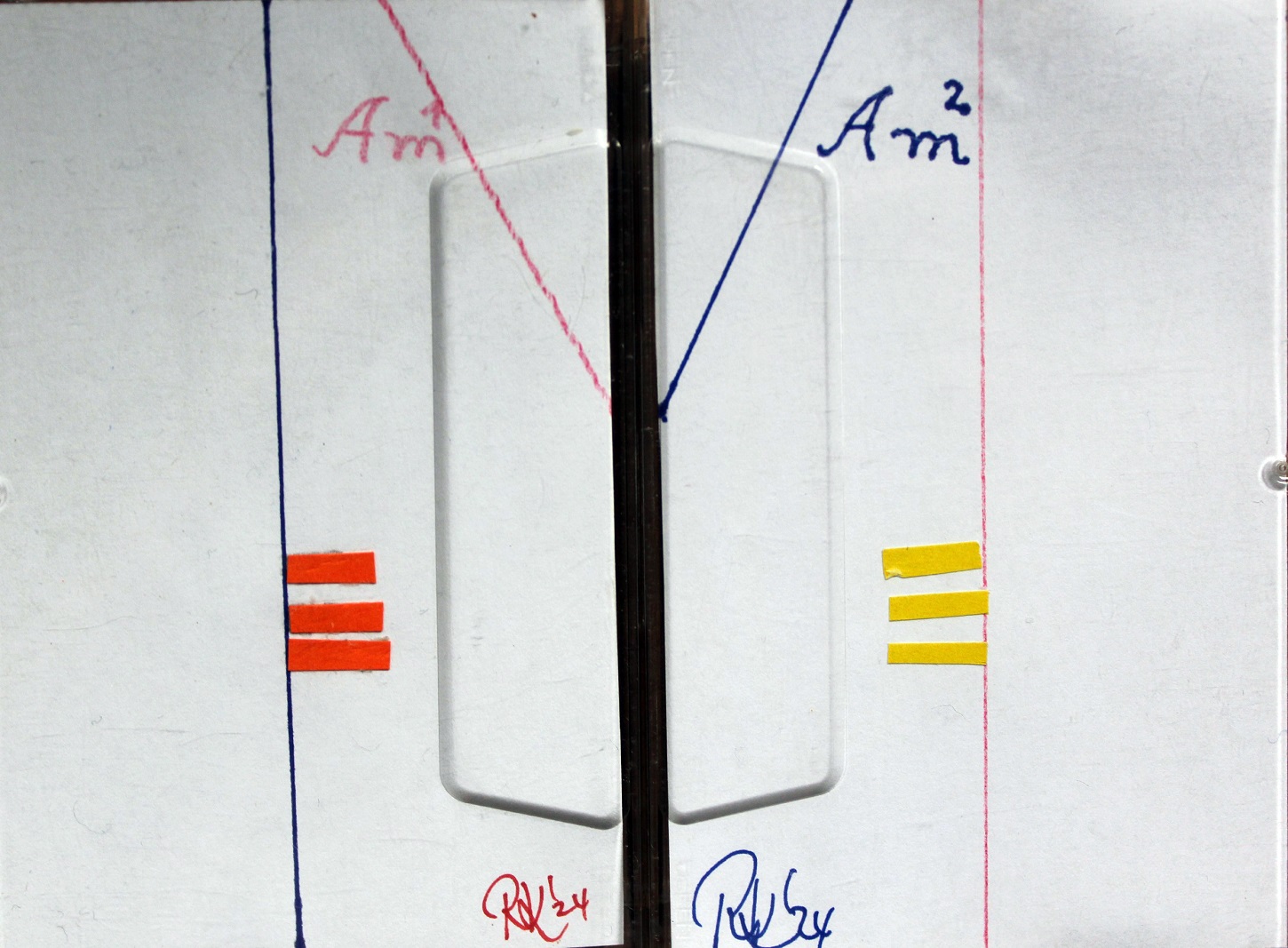 Am1 & Am2 - 2x ca. 10,8 x 7,2 x 1,5 cms. Music Cassette CrO2 quality Plastic C-90 (each plays 11 Min. Am1: incl. 5 different songs & Am2: incl. 3 different songs ART_MUSIC (for movies/ exhibitions) on the A-Side) unique Cover artwork in plastic Case, Paper in different colors, Pencil, Ballpoint pen, Print RAC 1990, handwritten contents, recorded without Dolby, signed, ready to insert & play!